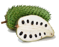 soursup fruit
